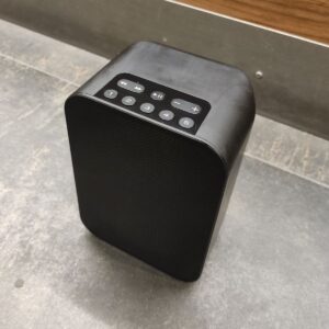 BLUESOUND PULSE FLEX 2i EX-DEMO