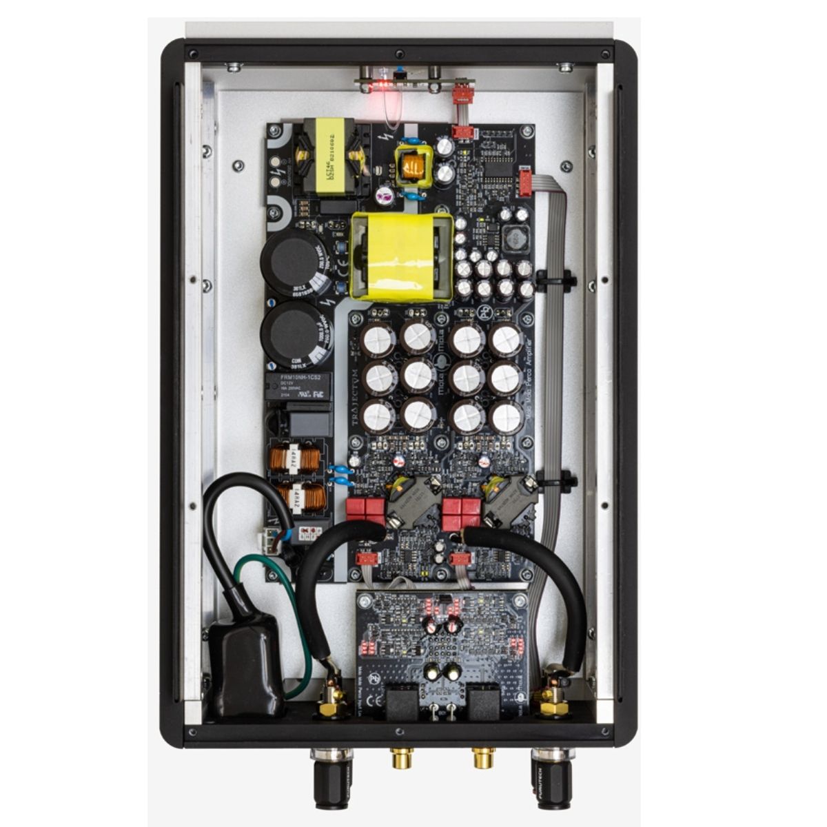 MOLA MOLA PERCA - Imagen 3