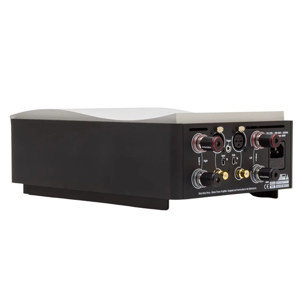 MOLA MOLA PERCA - Imagen 2