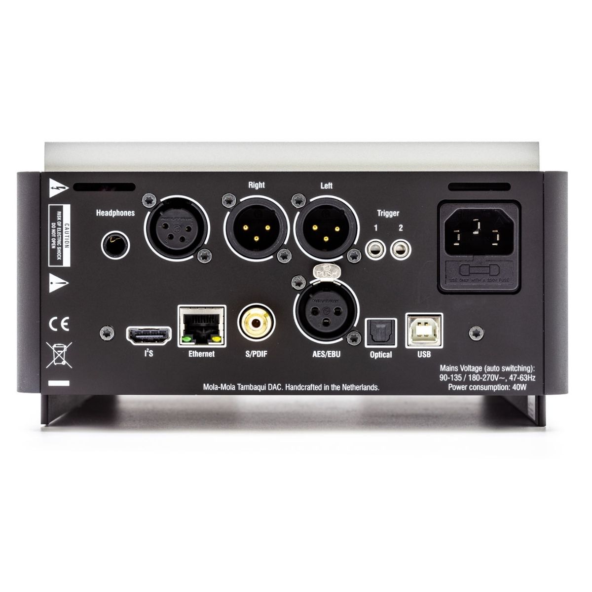 MOLA MOLA TAMBAQUI - Imagen 2