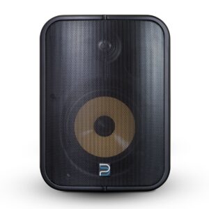 BLUESOUND PROFESSIONAL BSP1000