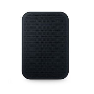 BLUESOUND PROFESSIONAL BSP125