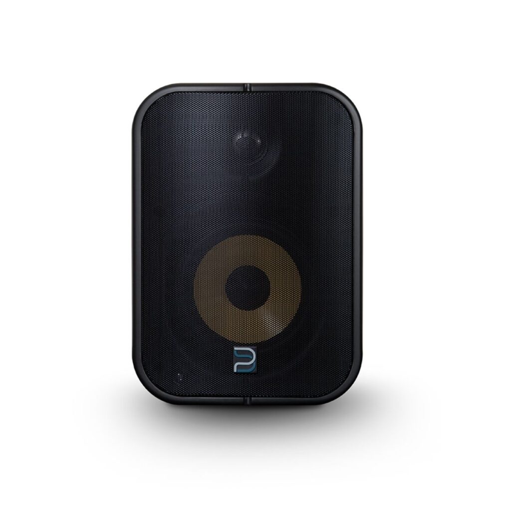 BLUESOUND PROFESSIONAL BSP500
