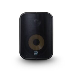 BLUESOUND PROFESSIONAL BSP500