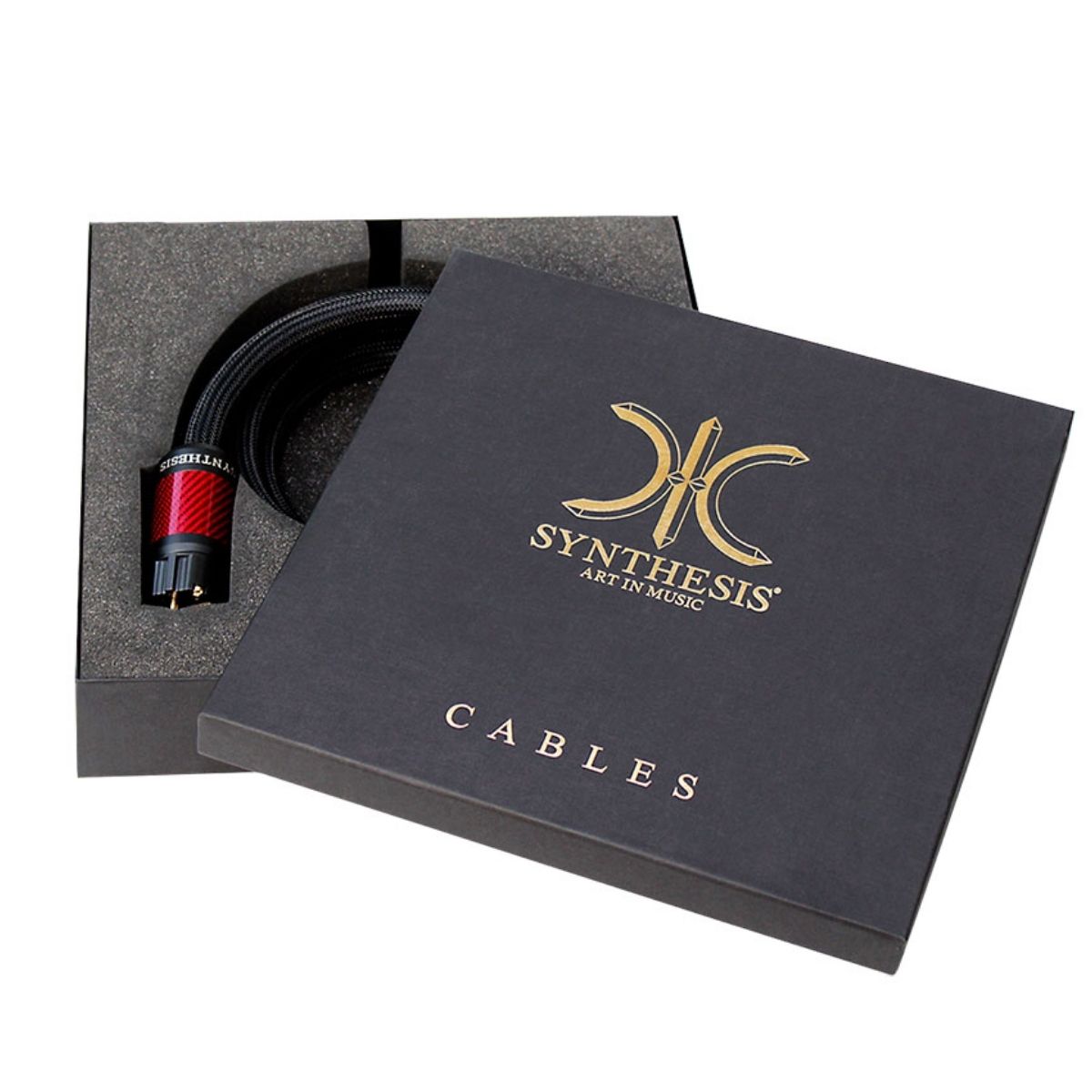 SYNTHESIS POWER CABLE - Imagen 2