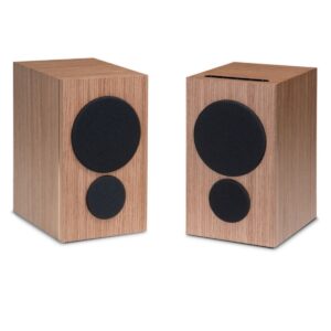 PSB SPEAKERS IQ 2