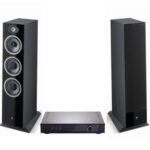 REGA ELEX MK4 + FOCAL THEVA Nº2