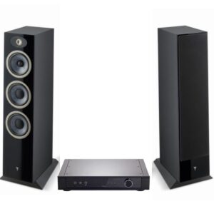 REGA ELEX MK4 + FOCAL THEVA Nº2