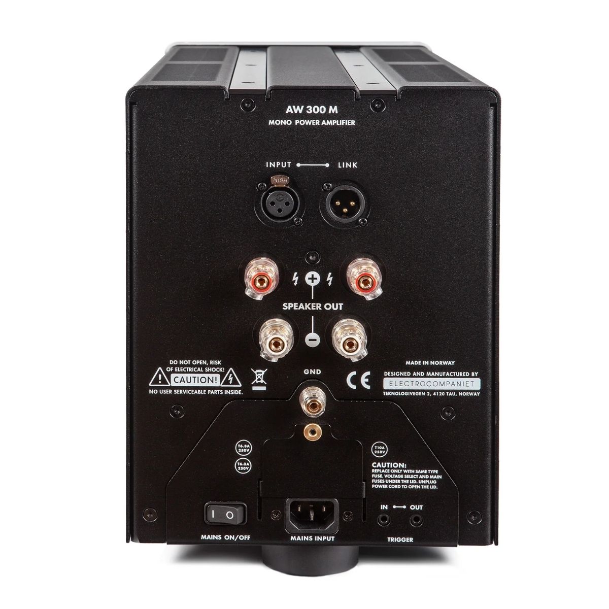 ELECTROCOMPANIET AW300M - Imagen 2